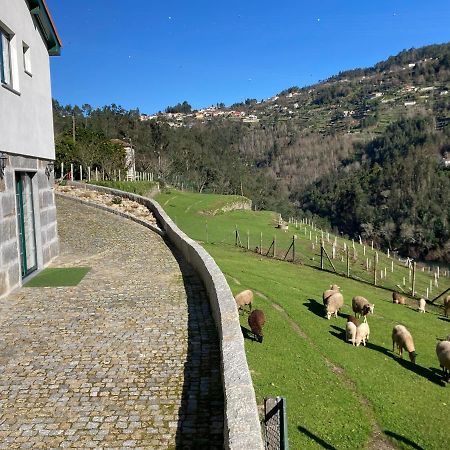 Quinta De Varzielas - Agroturismo Каштелу-де-Пайва Екстер'єр фото