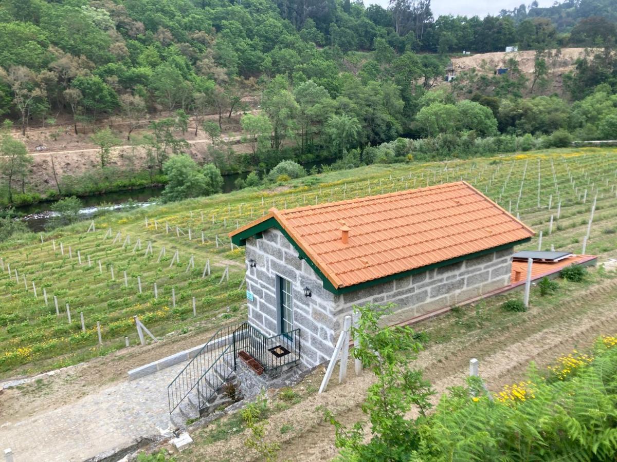 Quinta De Varzielas - Agroturismo Каштелу-де-Пайва Екстер'єр фото