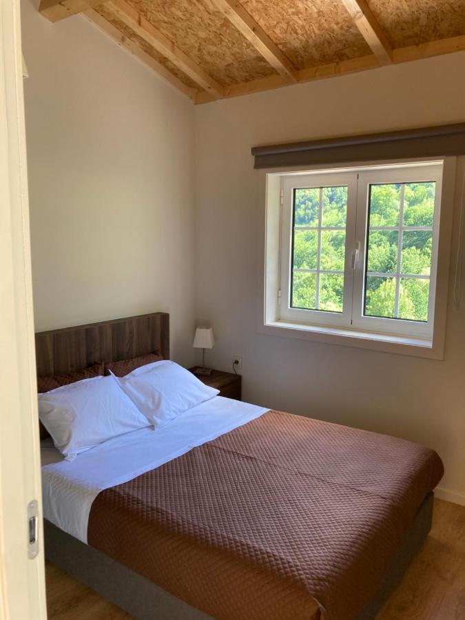 Quinta De Varzielas - Agroturismo Каштелу-де-Пайва Екстер'єр фото