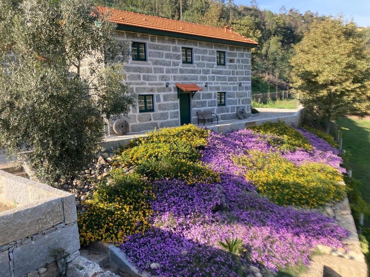 Quinta De Varzielas - Agroturismo Каштелу-де-Пайва Екстер'єр фото